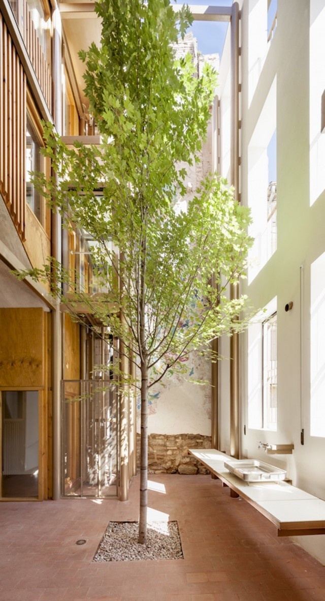 #patio #tree # architecture #arbol #arquitecture #house #lagula