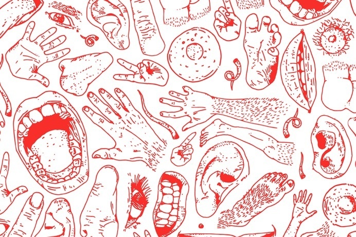 Fun hand drawn illustrations. #red #body #illustrations #drawn #fun #hand #parts