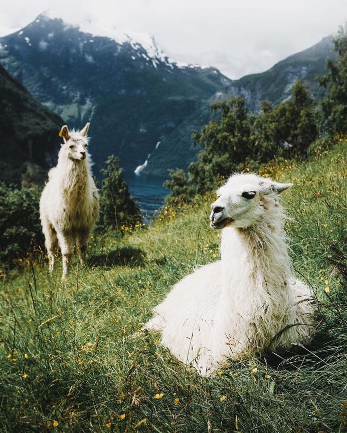 Mads Nordsveen Captures Epic and Unique Landscapes of Western Norway
