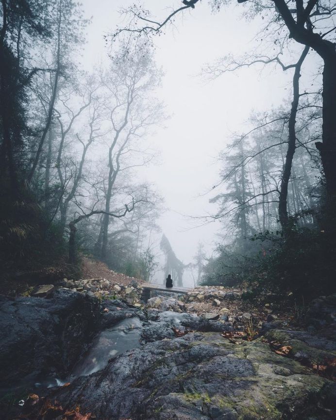 Moody Mountains and Foggy Forests: Adventures by Alessio Lin