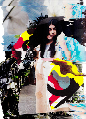 Gray Wielebinski #art #glitchart #digitalart #collage #mixedmedia
