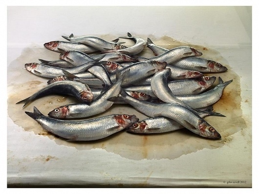 Collate #photo #fish