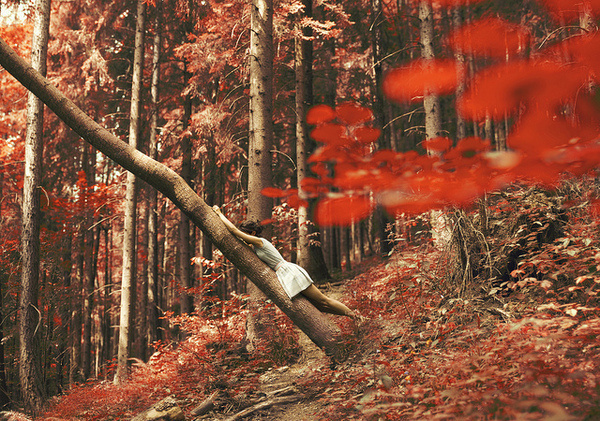 Barbara Loisch #inspration #photography #art