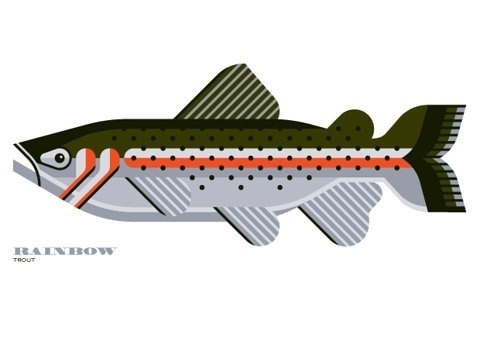 FFFFOUND! | Sage | Mint Design #design #mint #trout