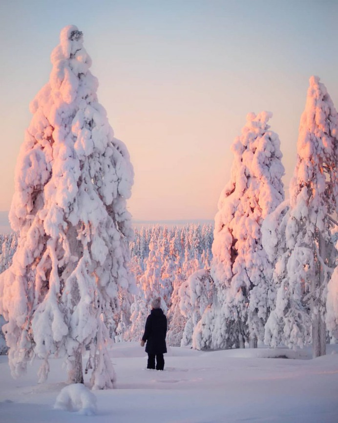 Mesmerizing Winter Wonderland Photos of Lapland in Finland