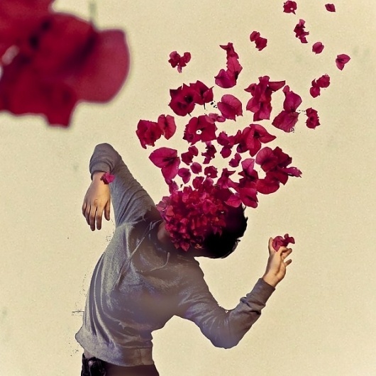 Photography by Diego Amtorres | 123 Inspiration #diego #photographs #amtorres