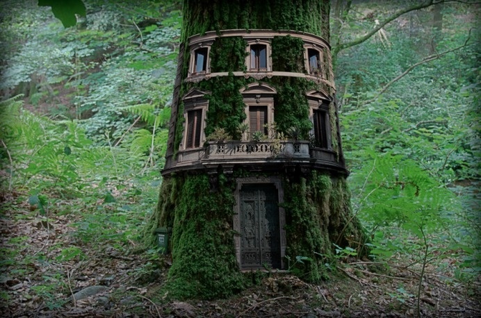 House Tree #treehouse
