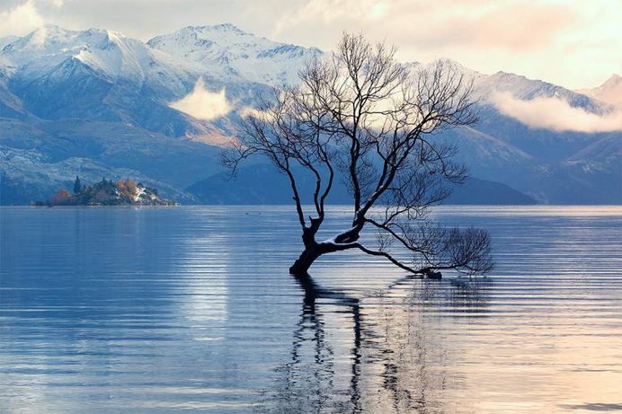 Amazing Nature Landscapes of New Zealand by Nick Crarer