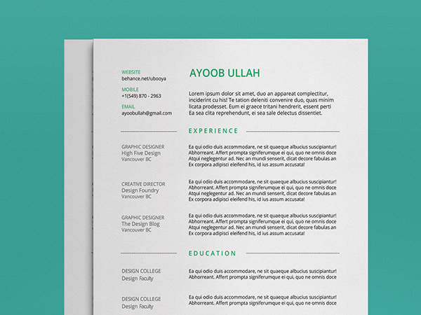 Minimal Resume Template for Any Industry