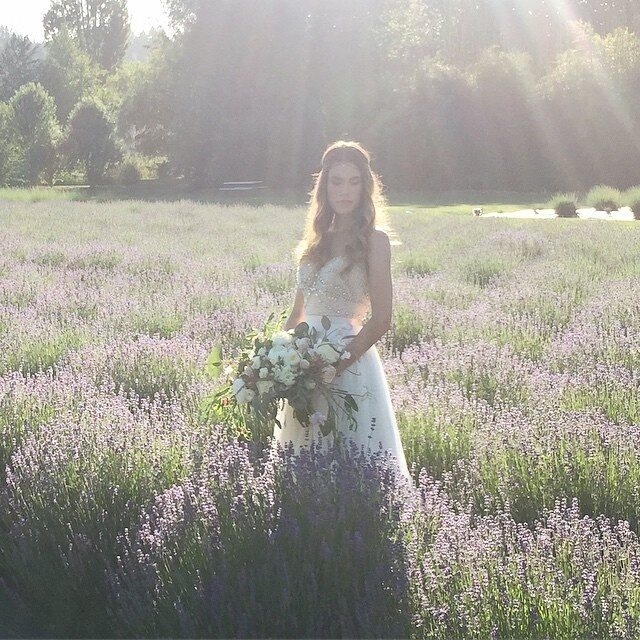 c/o violet wedding