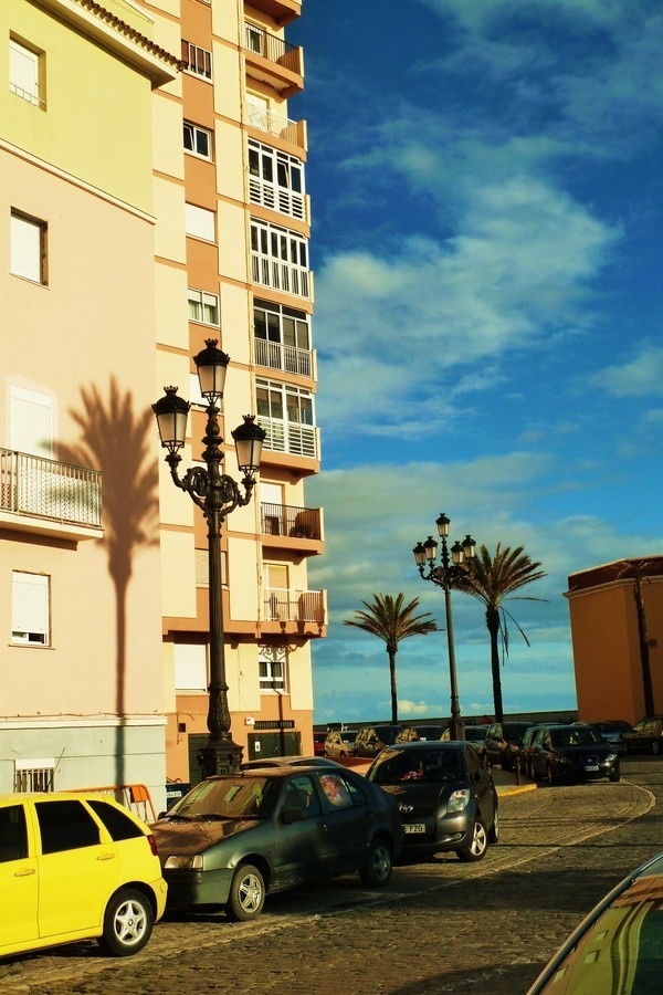 Cadizzle 2011 on Behance #post #lamp #palm #spain #wallb #tree #cadiz #shadow
