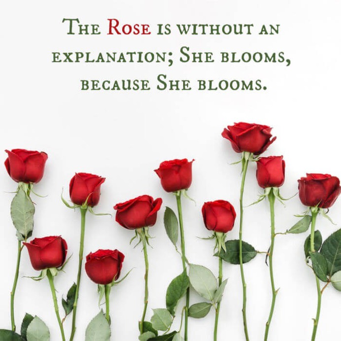 Rose Day Quotes