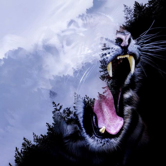 Dreamlike Multi Exposure Photo Manipulations by Paul Haag