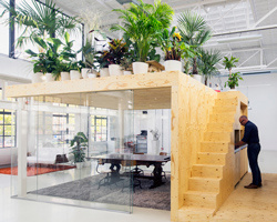 office