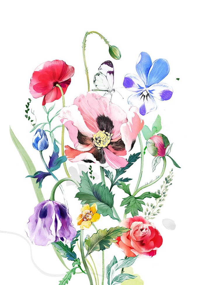 Image may contain: flower, plant and wall