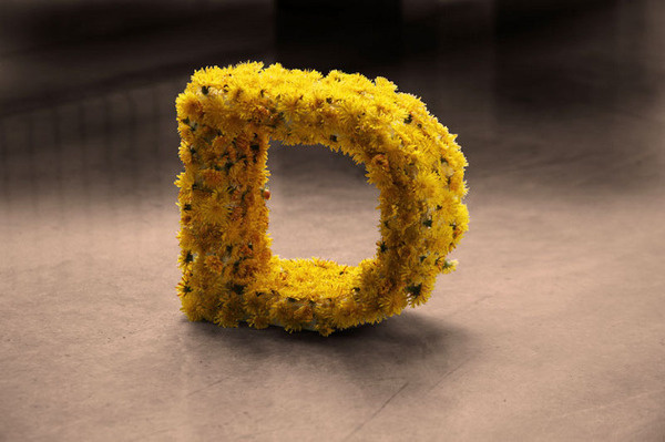 CRL #sculpture #yellow #letter #natural #three #logo #flowers #dimensional