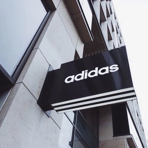 sdsd