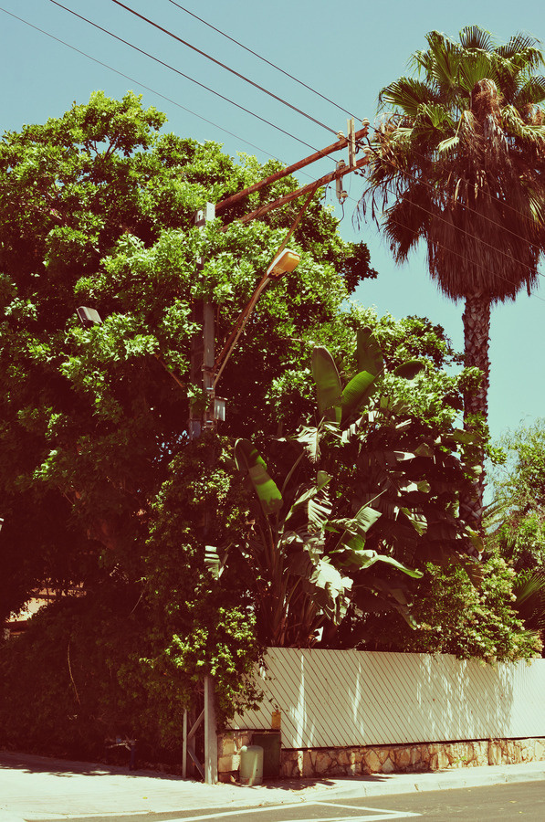 Herzliya Pituach - Ph.: Fabrizio Raschetti #fabrizio #design #raschetti #photography #architecture