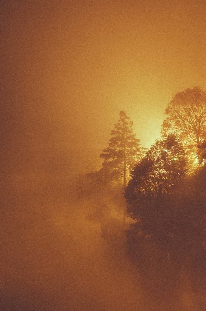 The Burn. #stockholm #fog #sweden