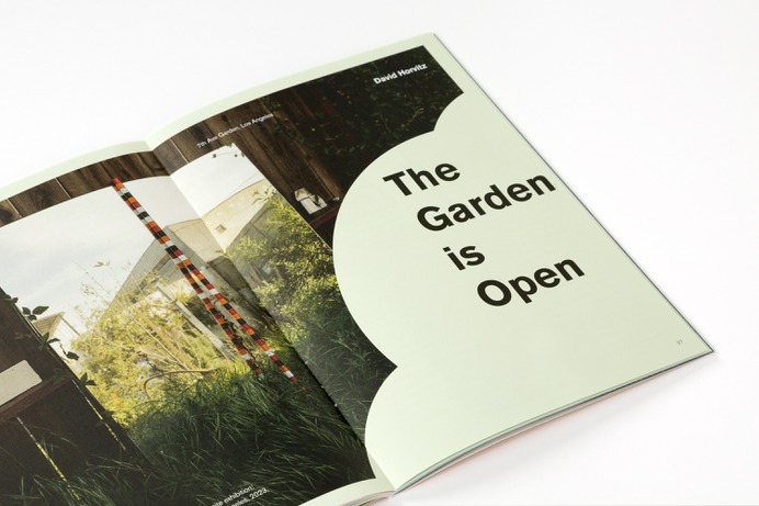 Some Magazine #17—Look