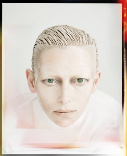 Tim Walker Photography #portraits #photography #tilda #swinton
