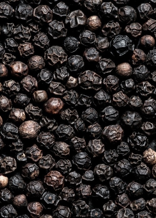Black Pepper. PhotoÂ byÂ Line Klein FromÂ Cereal Magazine Volume 2Â #pepper