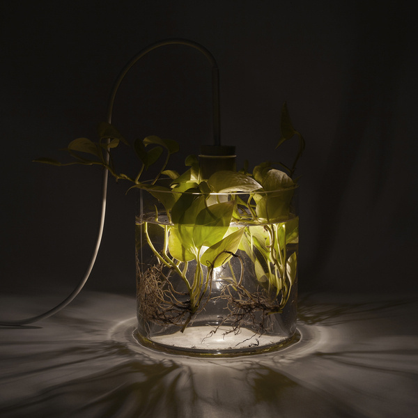 Green VASE LEUCHTE Lamp Interior #interior #design #decor #home #furniture #architecture