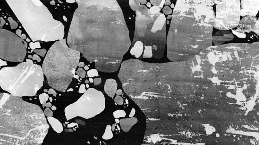 Denise Hauser Filmmaker #iceberg #white #black #and