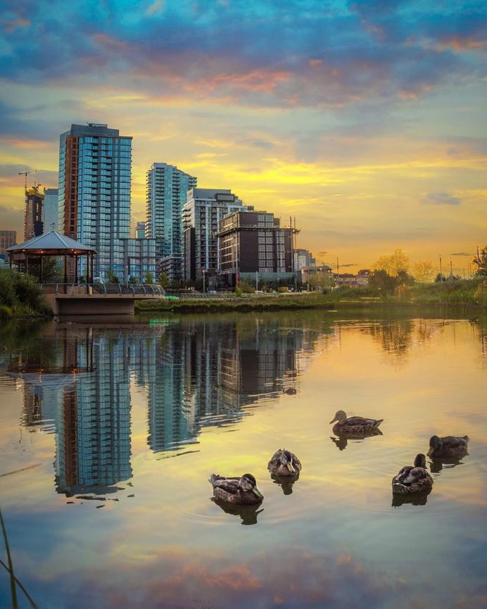 Stunning Reflected Landscapes Capture The Beauty of Alberta