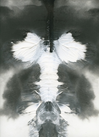 Variations on a Theme #illustration #rorschach