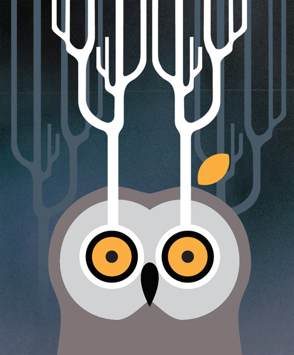 owl #vectors #illustration #owl