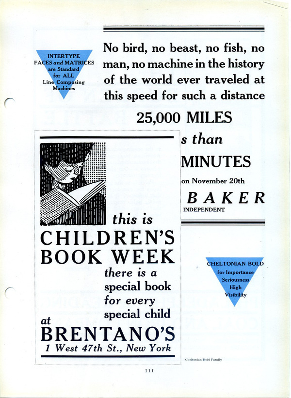 Cheltonian type specimen