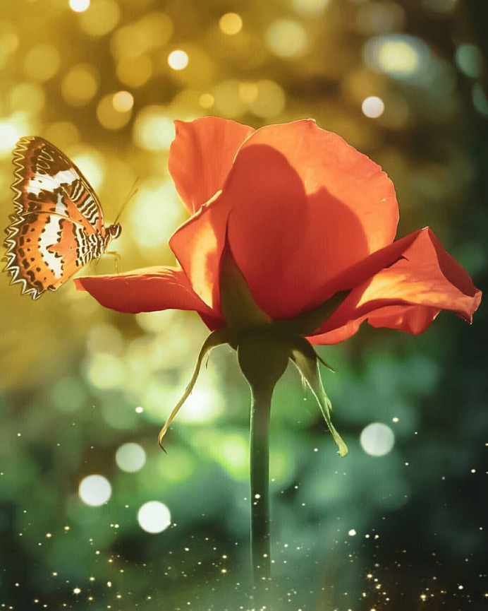 Conceptual and Fine Art Flower Photography by Niloofar Balalami