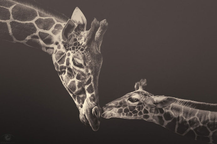africa-souls-zoo-photography-manuela-kulpa-1