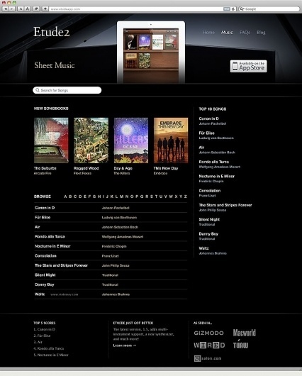 31Three - Portfolio #website #design #web