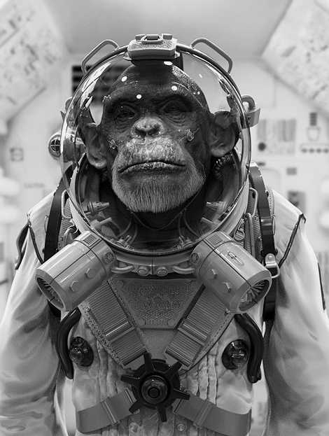 Space chimp #maarten #verhoeven #zbrushsculptor