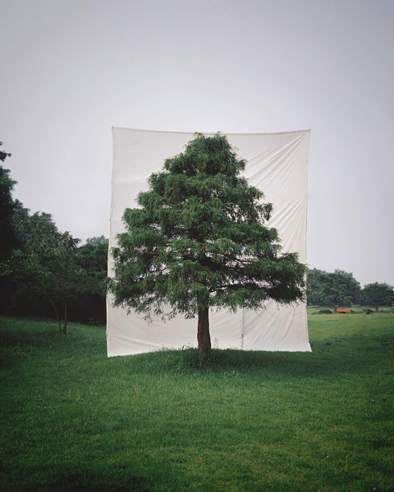 but does it float #tree