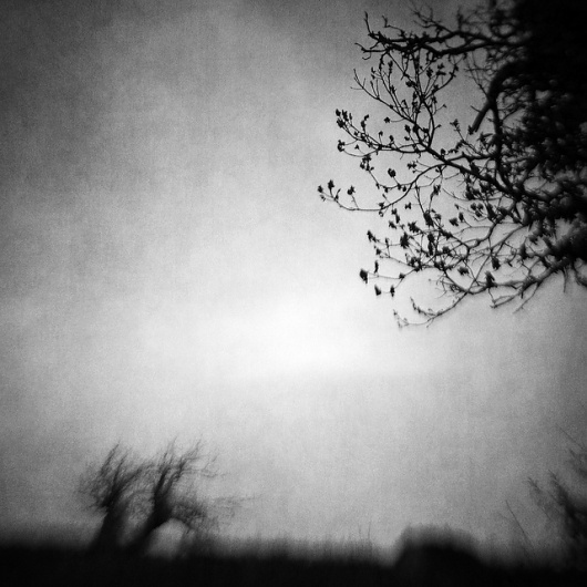 The Space Between, photography by Vangelis Bagiatis #forest