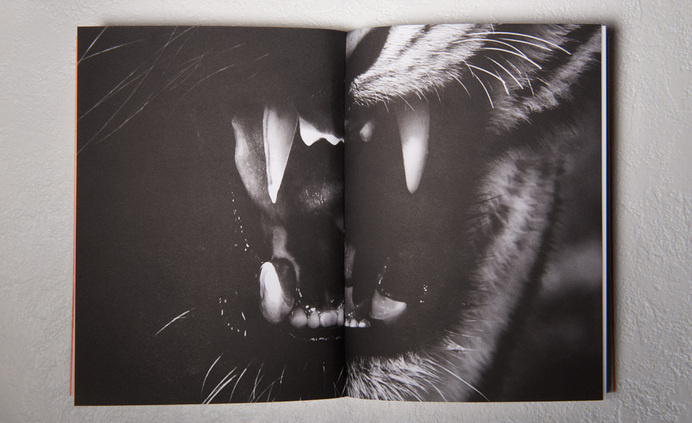 http://deutscheundjapaner.com #notebook