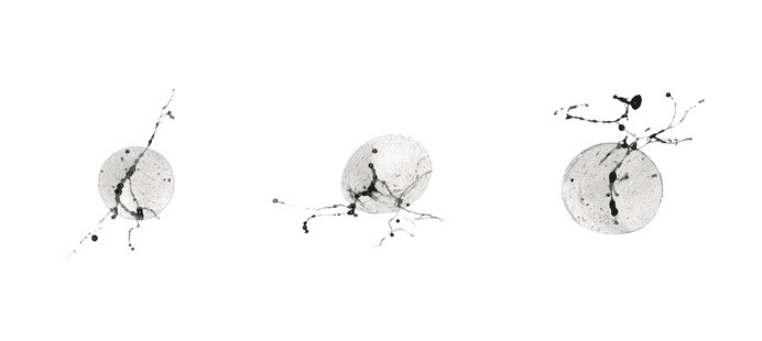 Broken Eggs #abstract