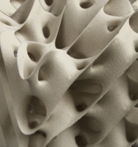 Untitled | Flickr - Photo Sharing! #fabbing #computational #structure #widrig #printing #daniel #3d