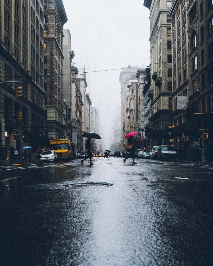 Instagram Star: Dave Krugman