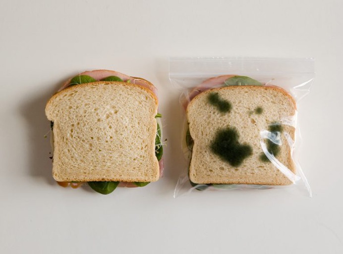 The.: Anti-Theft Lunch Bag