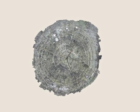 FFFFOUND! | but does it float #wood #texture