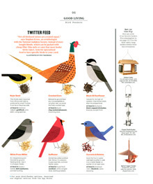 birds, bird, animal, layout, geometric, geo