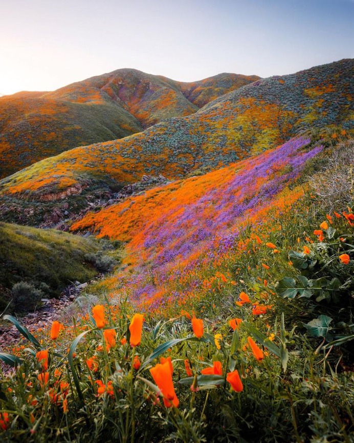 Wonderful Outdoor and Travel Photography by Ryan Resatka