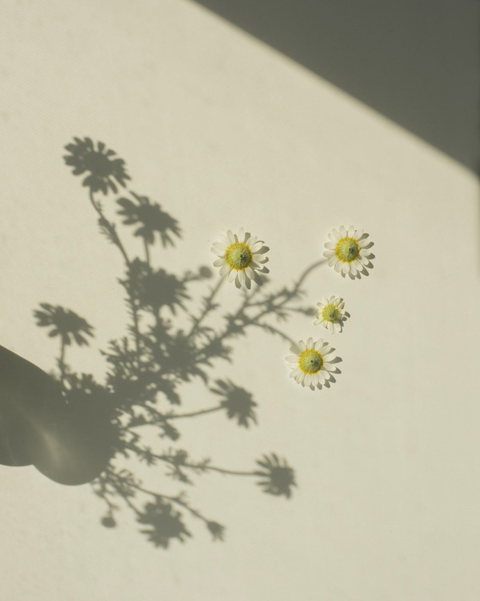 The Bright Shadow by Marietta Varga – Design. / Visual.