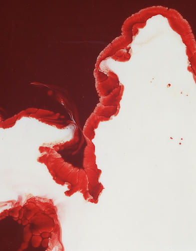 .Alkama - Frédéric Fontenoy #blood #photography #art #milk #paper