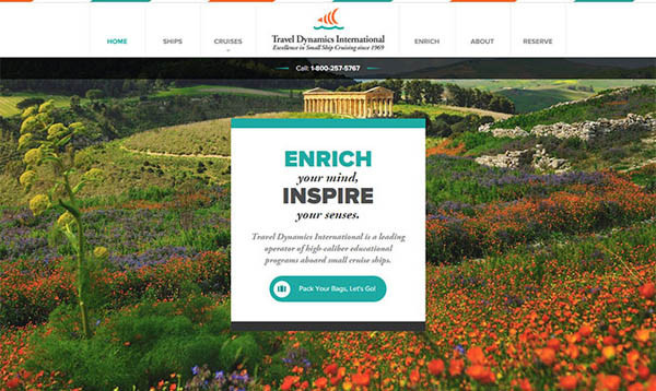 Travel Dynamics International