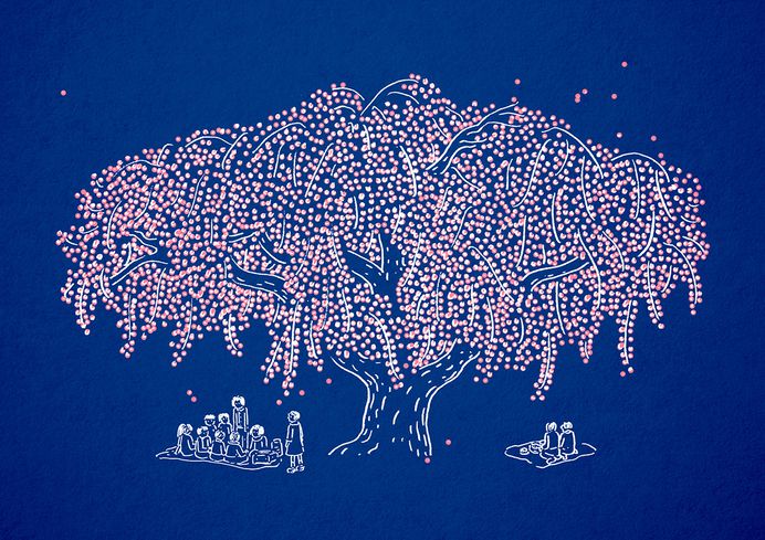 [ 森 · 櫻 ] Forest & Cherry blossom Illustration artwork on Behance